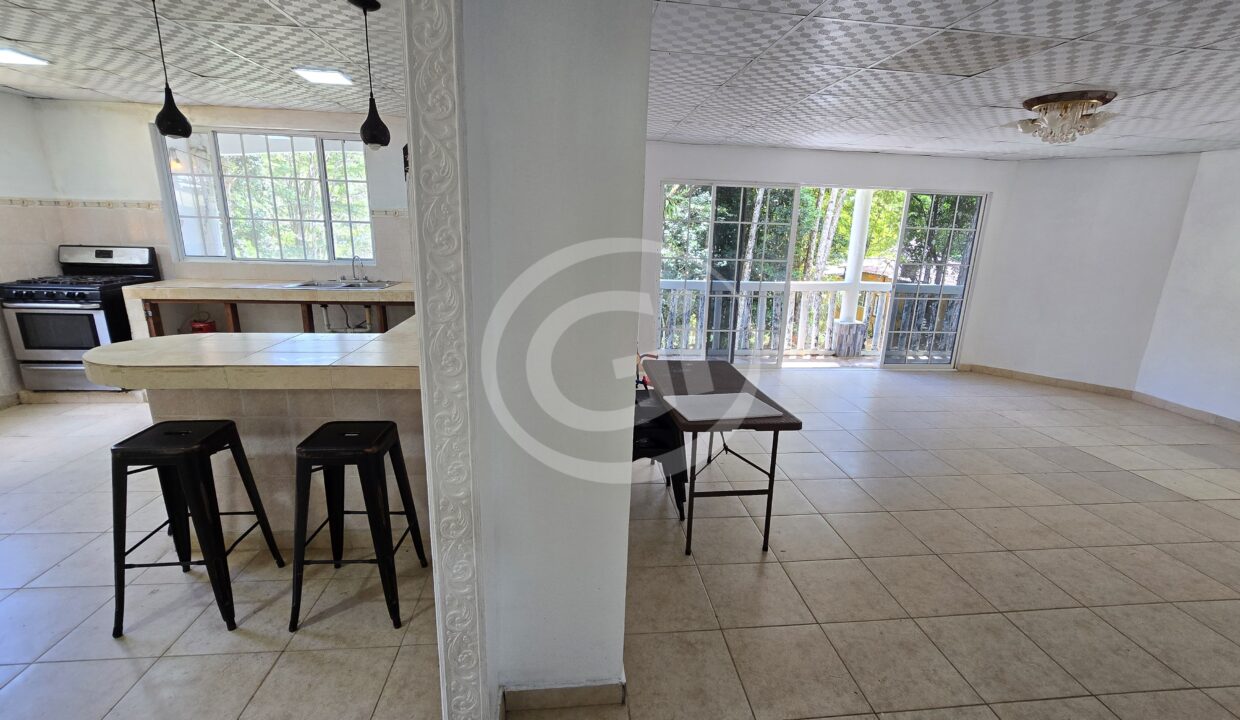 6. Sala-Cocina (1)