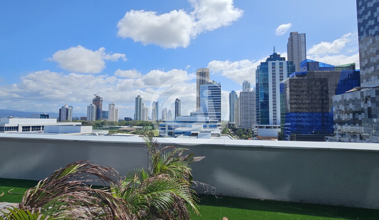 19. Vista desde las oficinas.Financial Park Costa del este