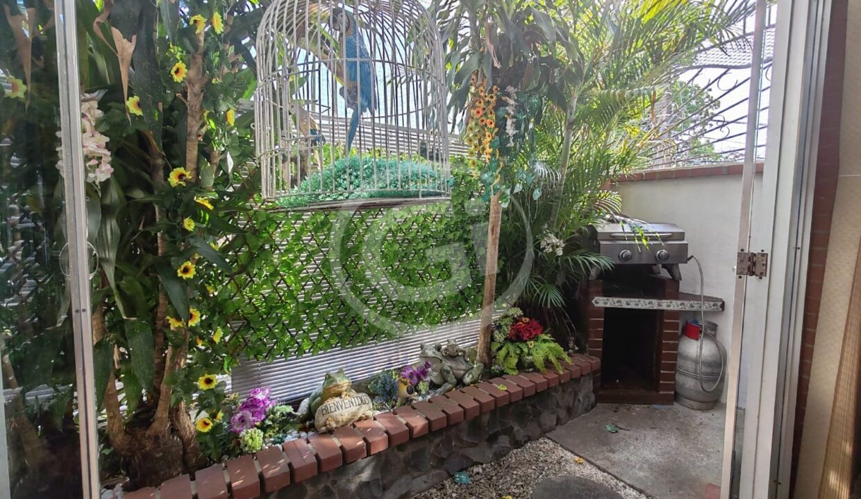 8. Casa Condado Etapa 1 Patio