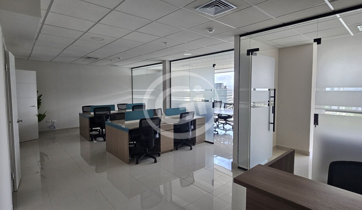 8. Sala común con puestos de trabajo. Financial Park Costa del este