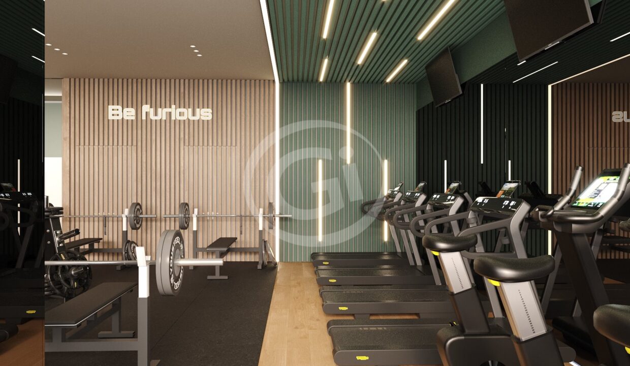 Gym 1