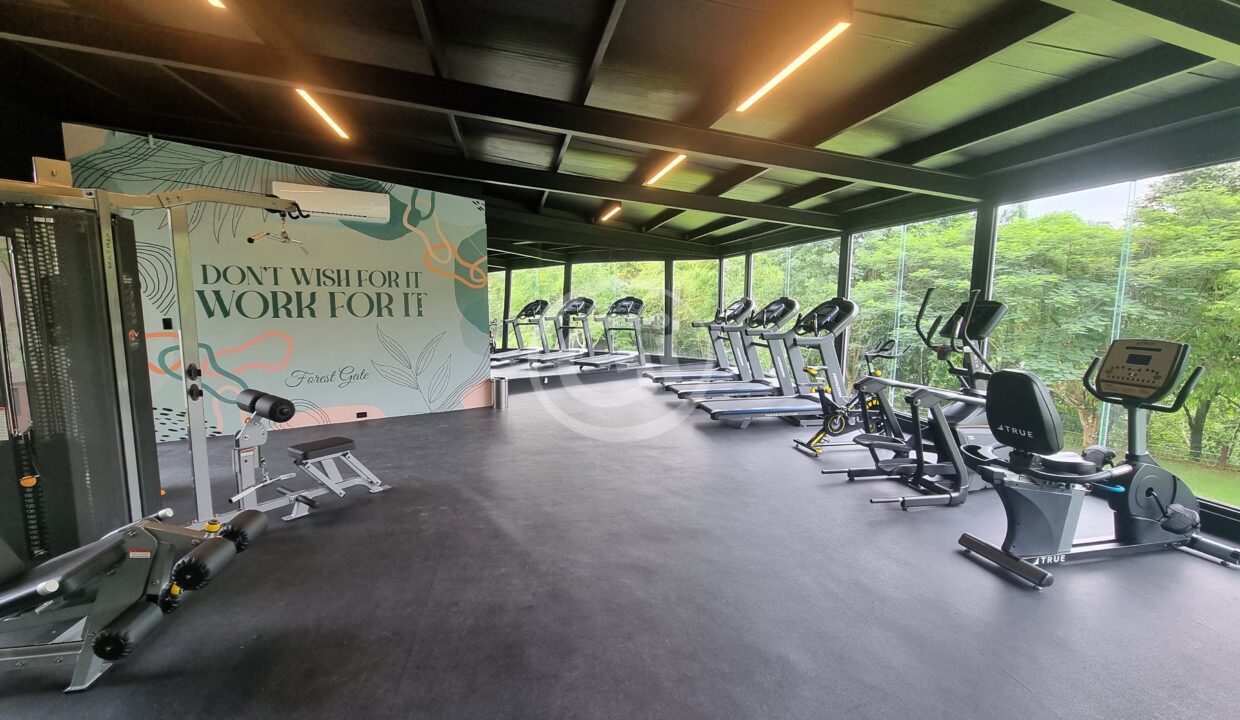 11. Gimnasio Apartamento Venta Forest Gate Albrook