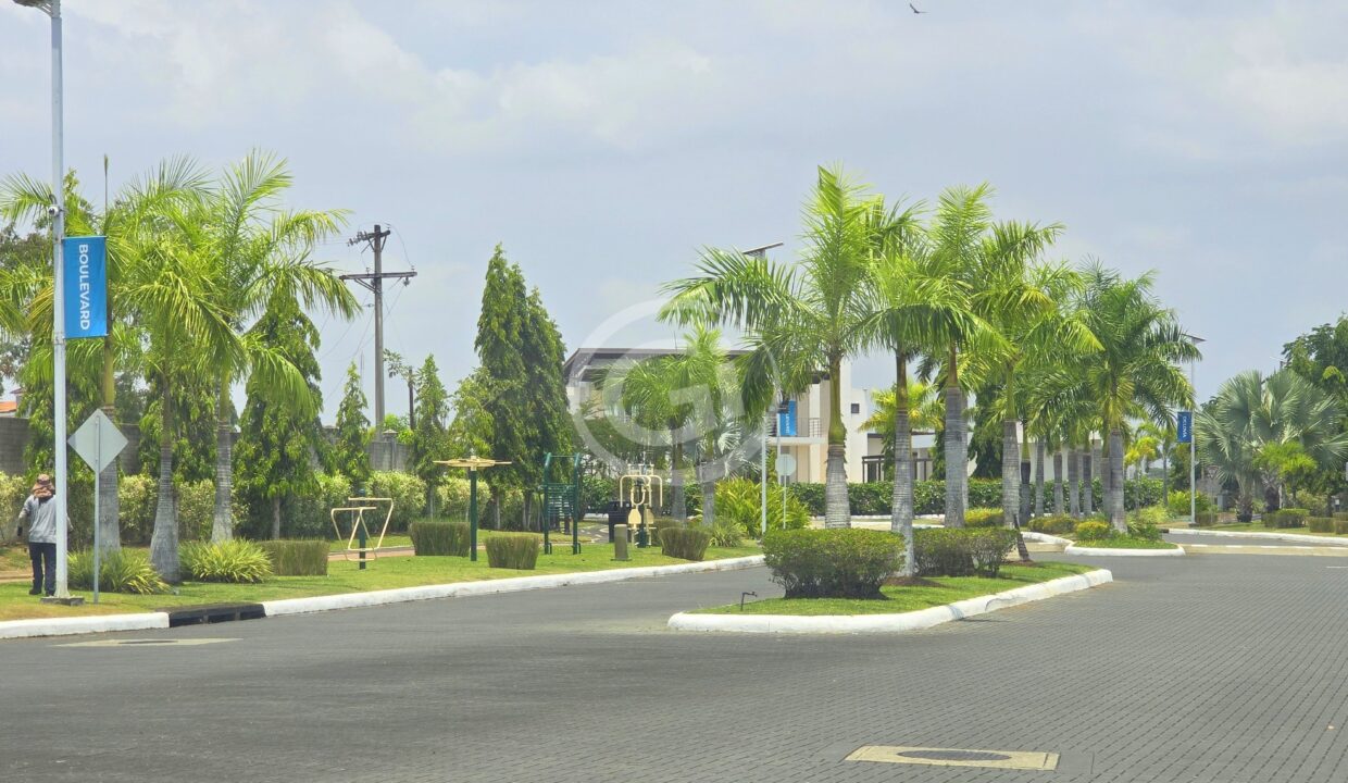 2. Alrededores (4)