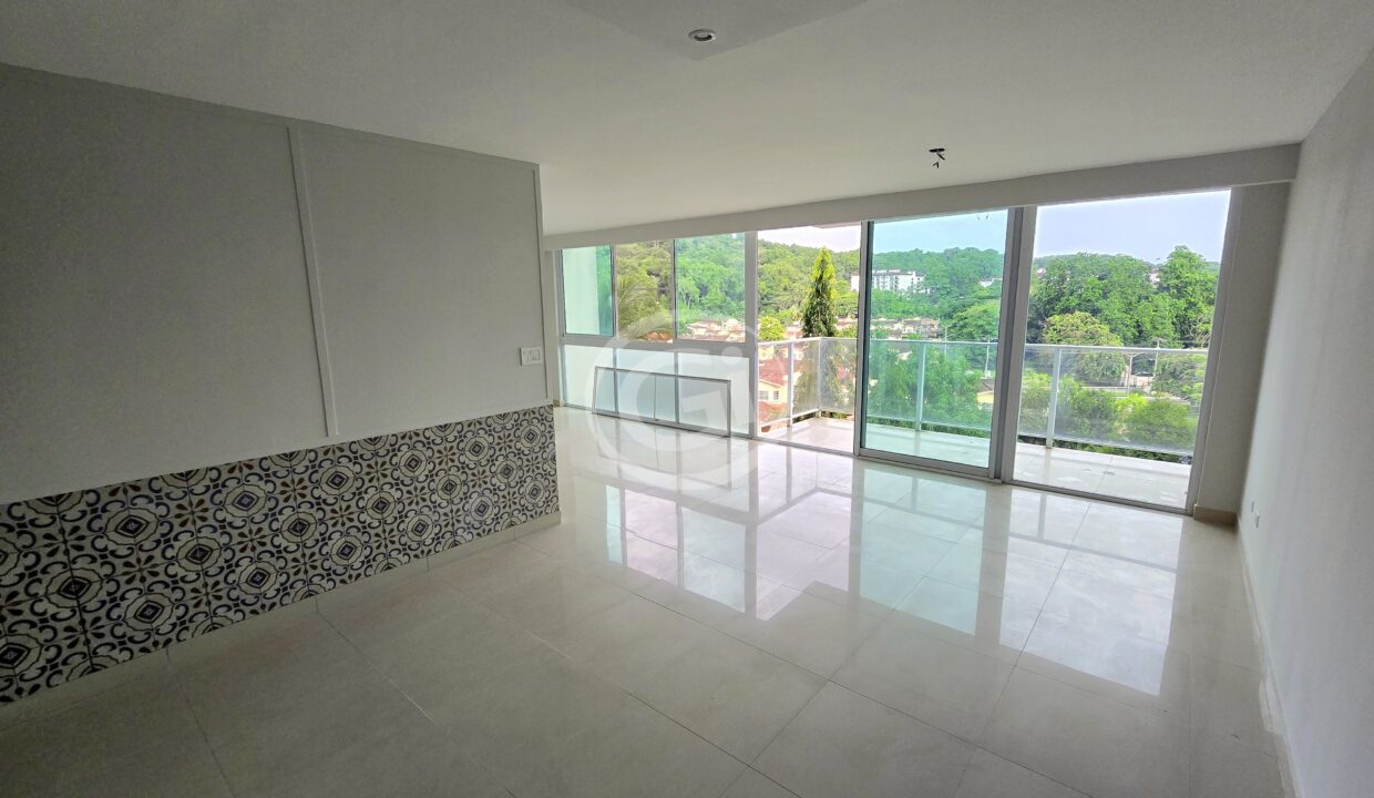 4. Sala-Comedor. Venta Remate Bancario Pine Hill. Albrook