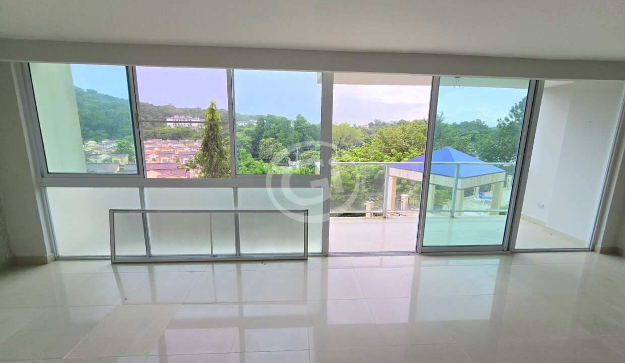 6. Sala-Comedor. Venta Remate Bancario Pine Hill. Albrook