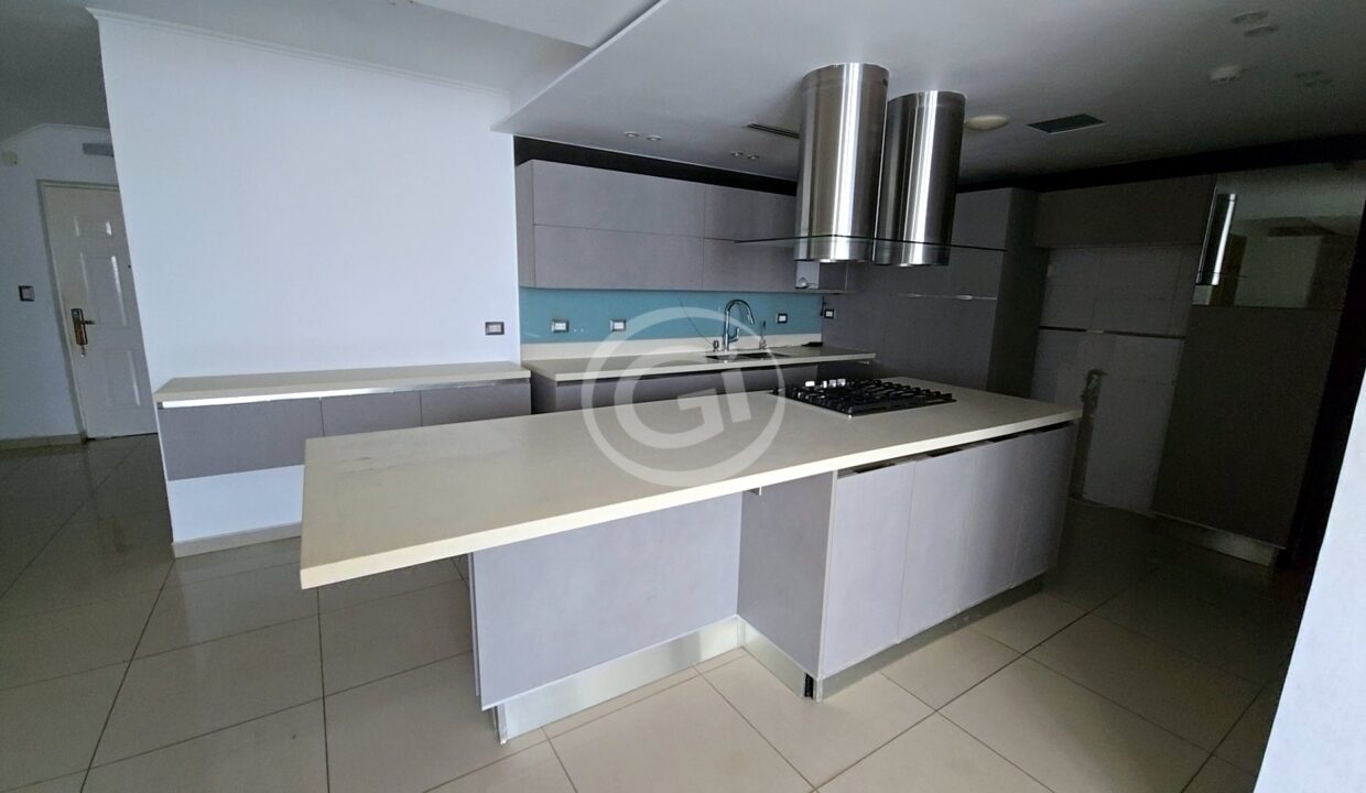 12. Cocina. Venta Apartamento Marina Terrace Av Balboa Remate Bancario