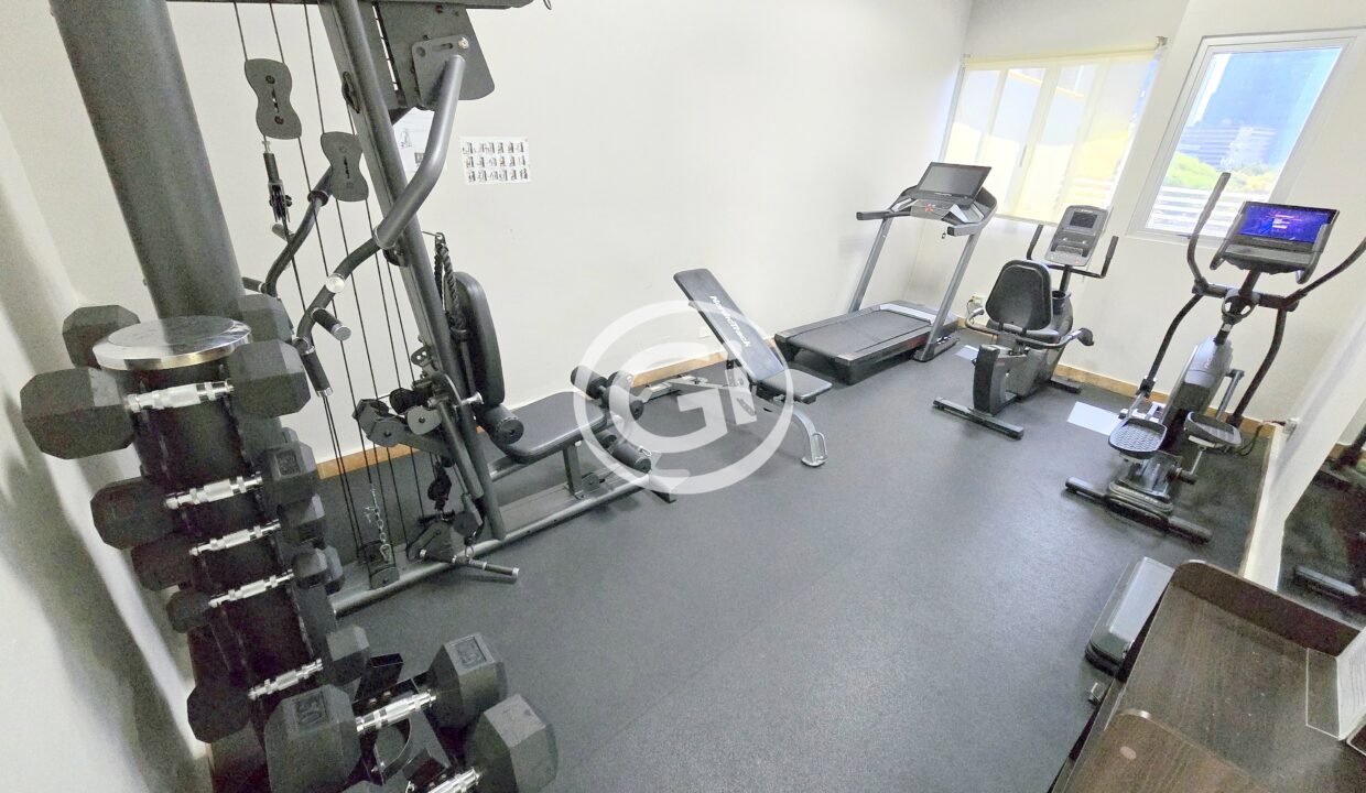 29. Gimnasio (2)