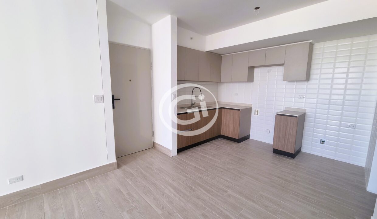 6. Cocina y puerta de entrada