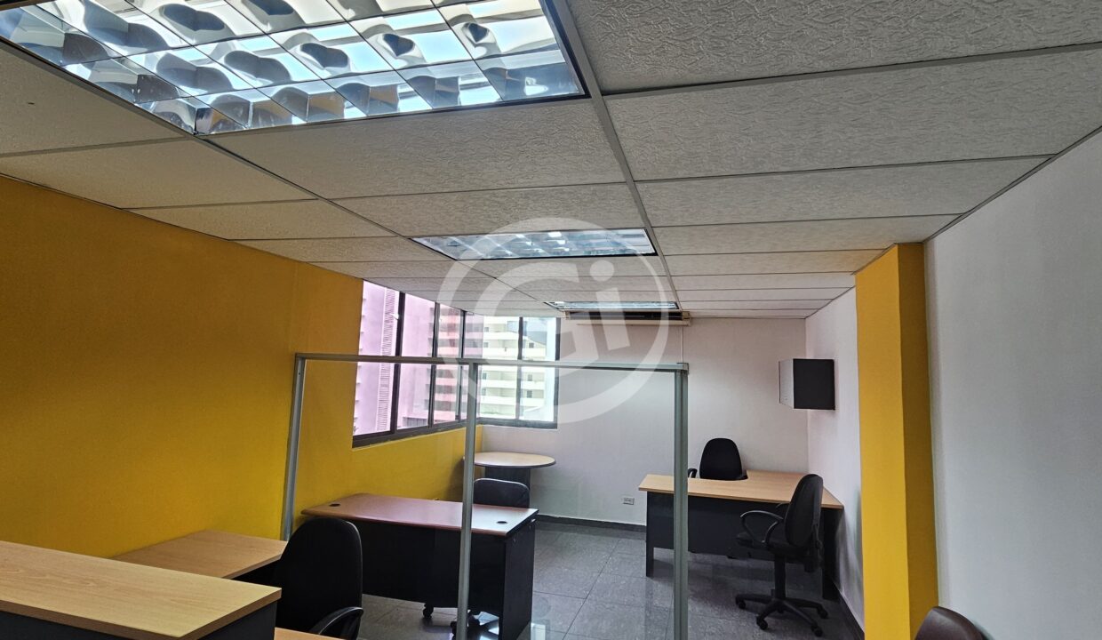 7. Acabados techo. Oficina IBC Venta