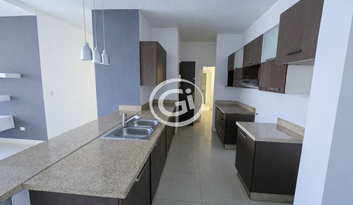 13. Cocina. PH Astotia El Cangrejo. Remate Bancario