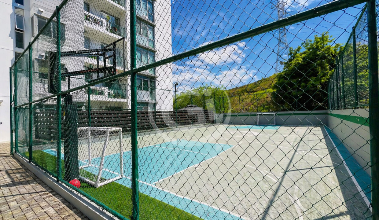 23-4Horizontes_canchas