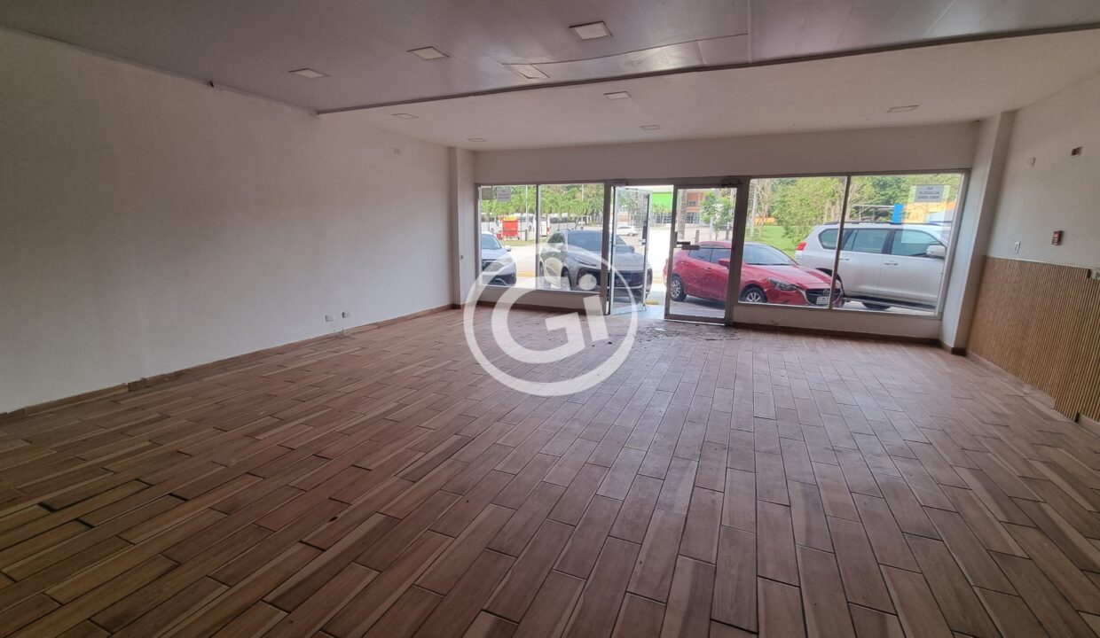 10. Local Alquiler local plaza Ceciliasdfa