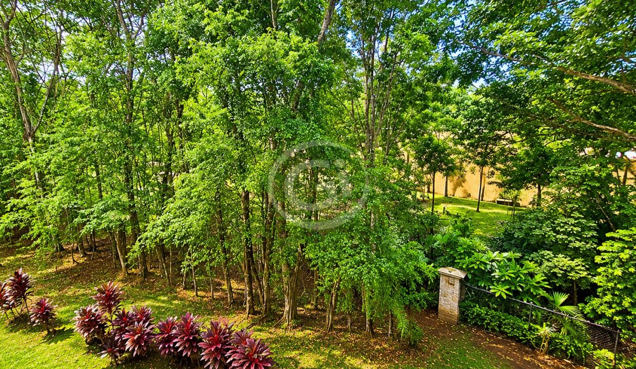 6. Habitación Principal. Embassy Club Venta Apartamento Reposeido Bancario