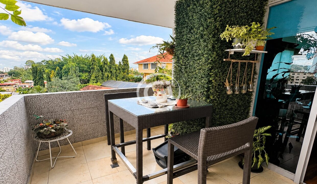 10. Terraza Alquiler DeLuna Park