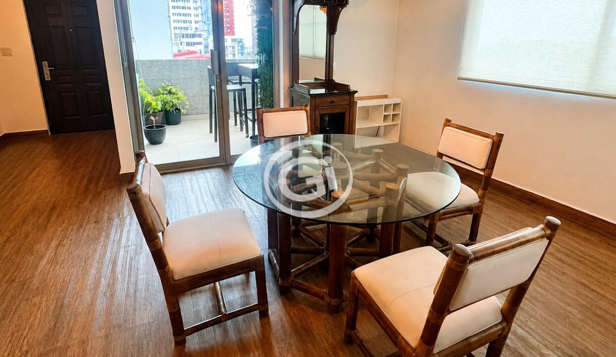 6. Sala y Terraza Alquiler DeLuna Park