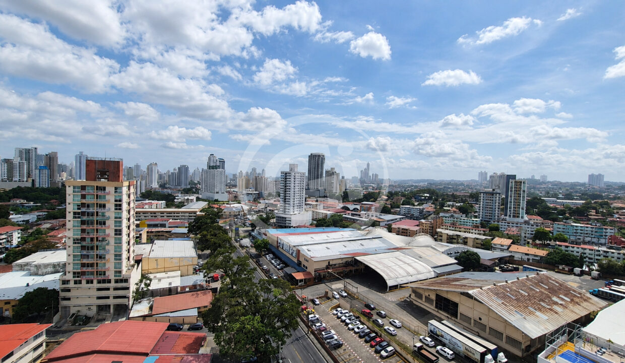 10 Vista Premium