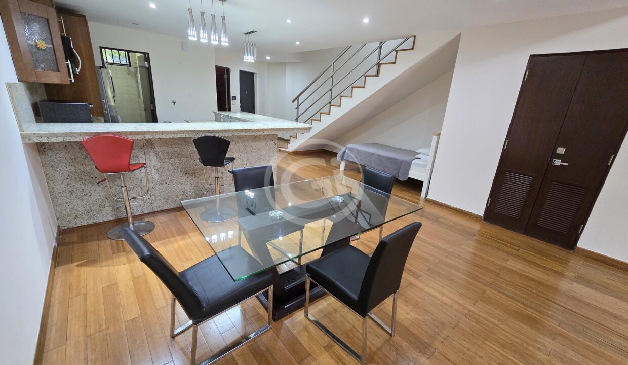 12. Sala-Comedor. Embassy Club Loft en Alquiler Clayton