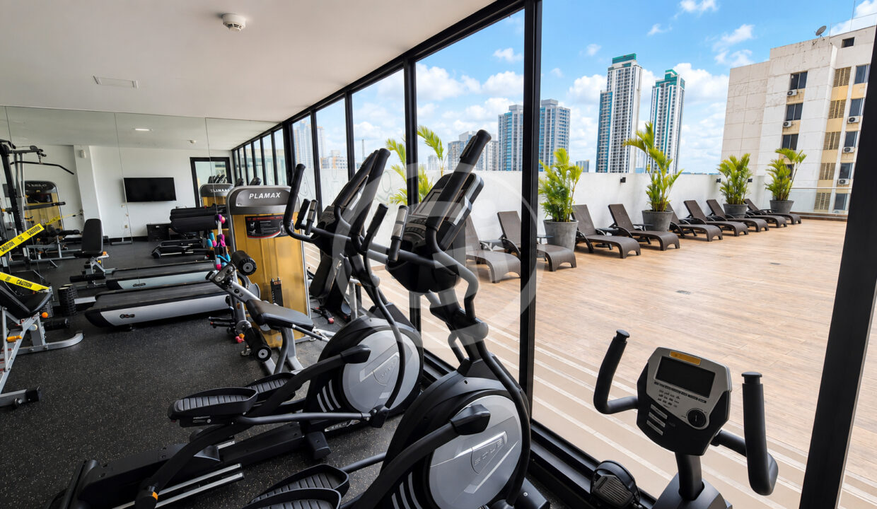 14 Gimnasio Vista Verde