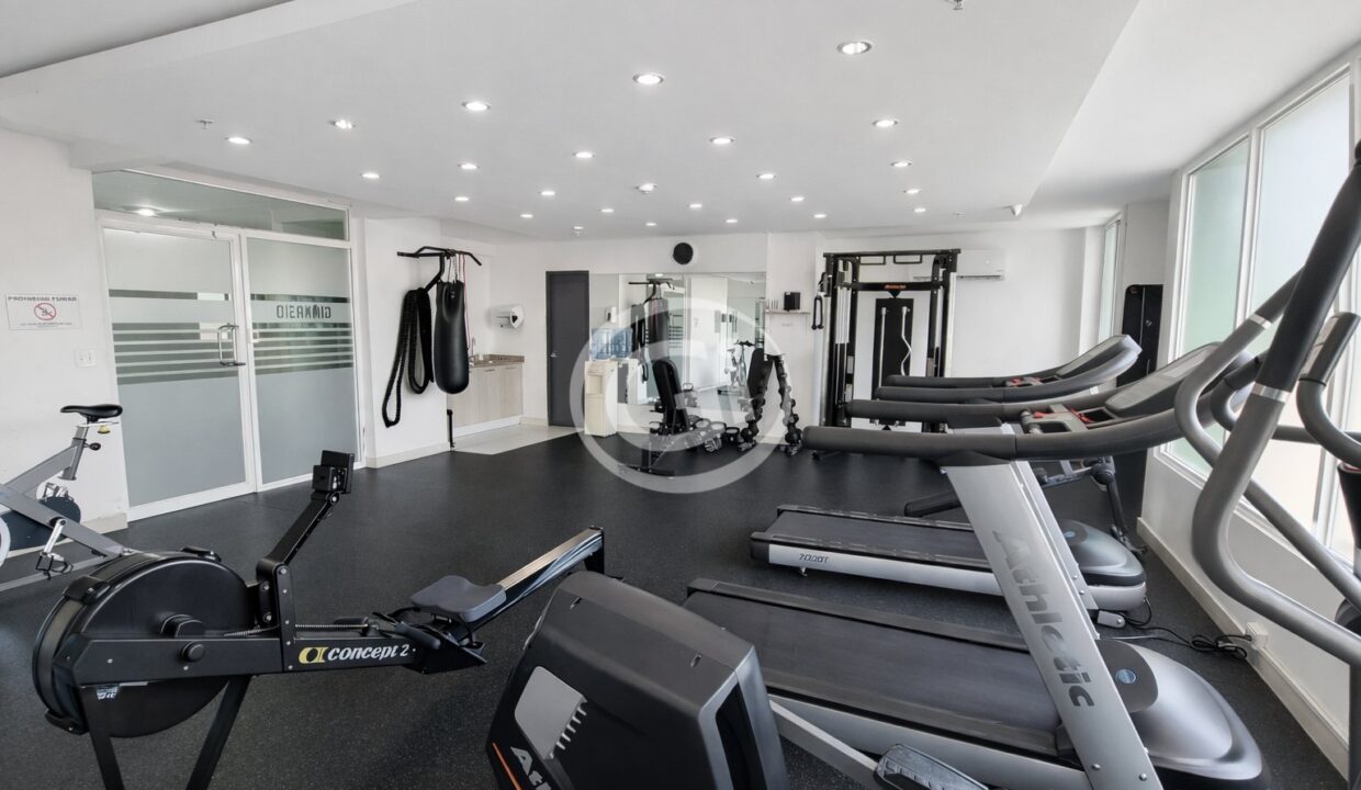 22. Gym venta Green Park reposeido