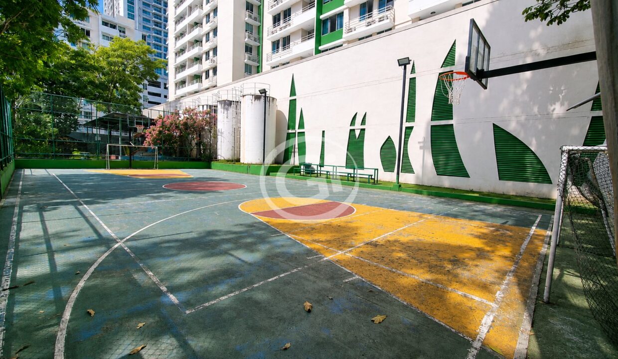 25. Cancha venta Green Park reposeido