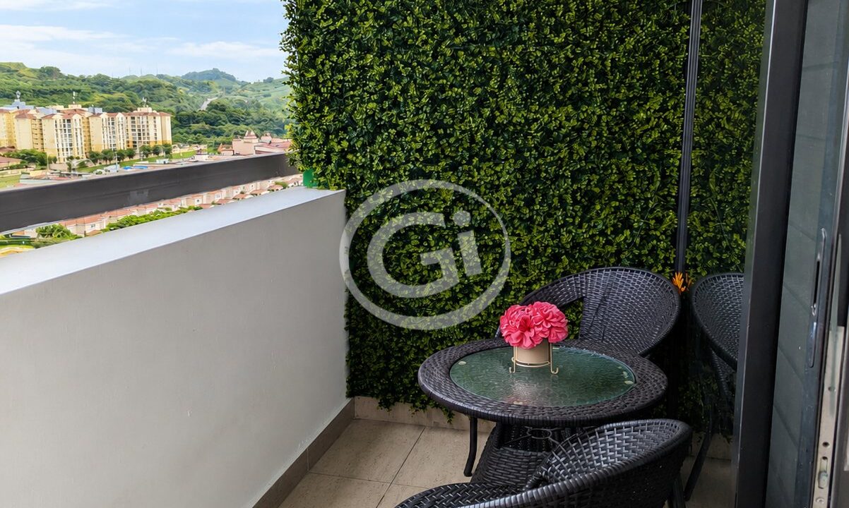 4. Terrza Venta Condado Country