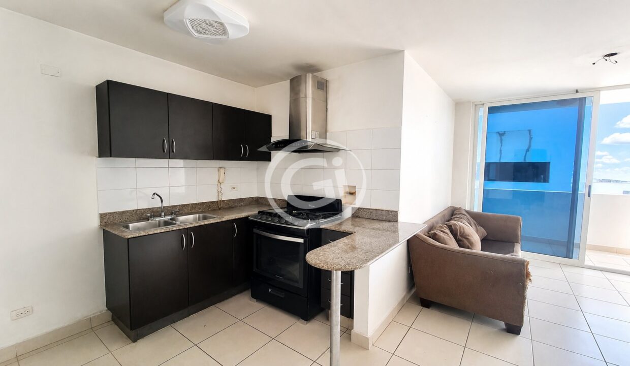 6. Cocina y sala venta Green Park reposeido