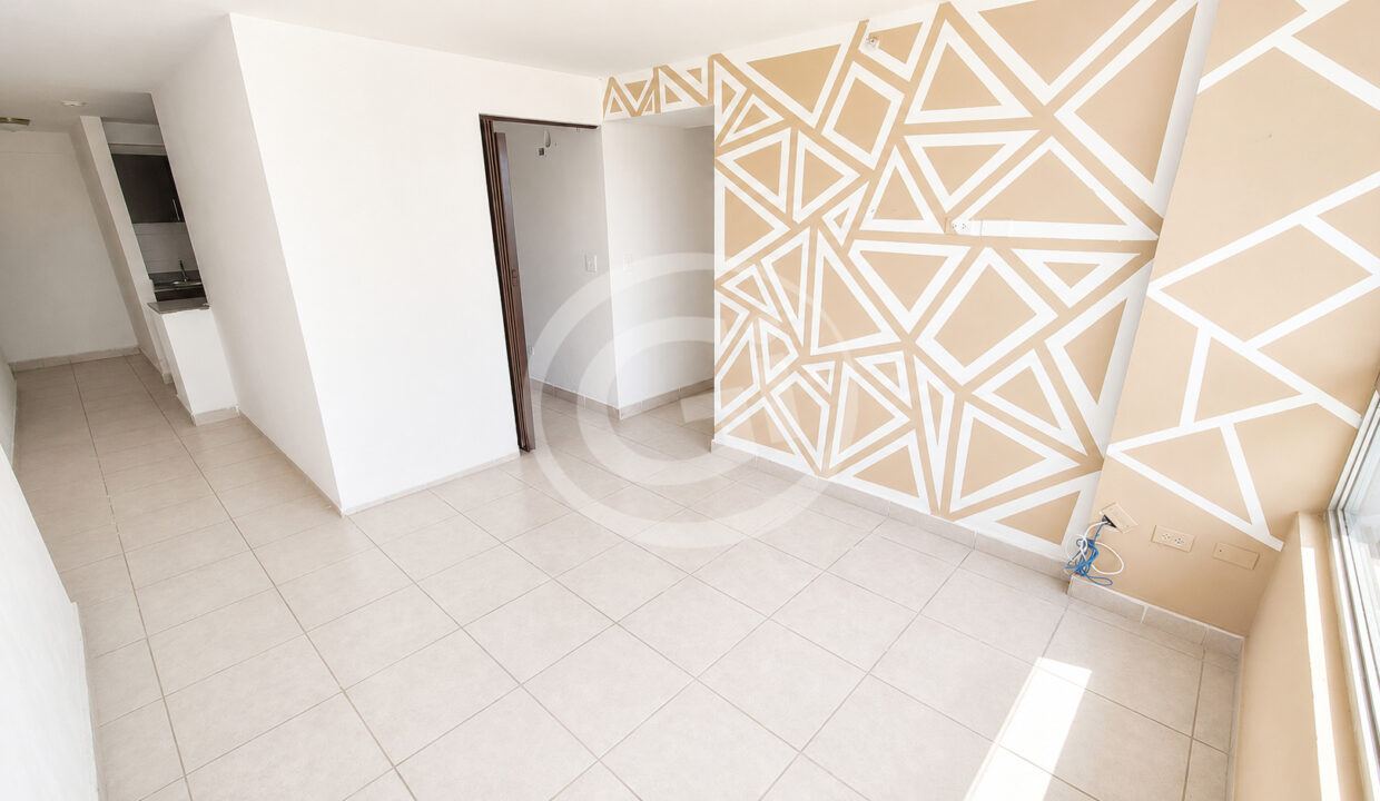 8 sala comedor Premium