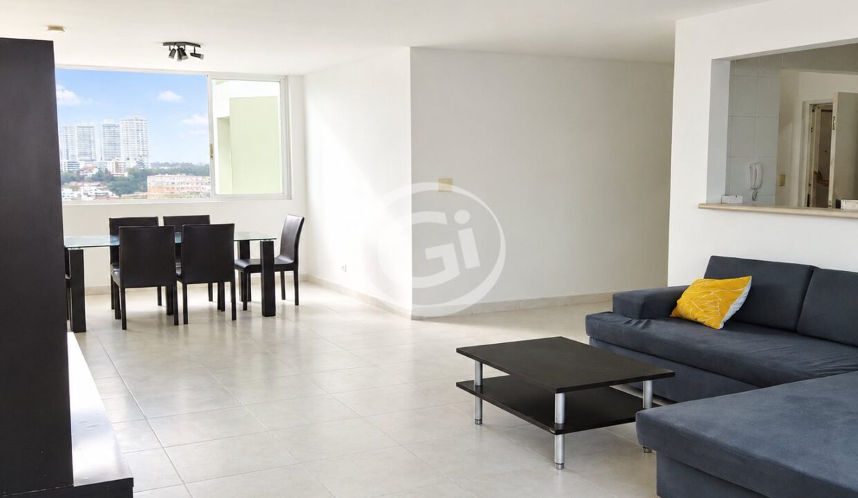 11. Area comun