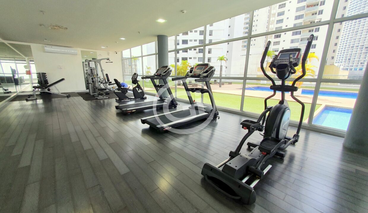 12. Gimnasio