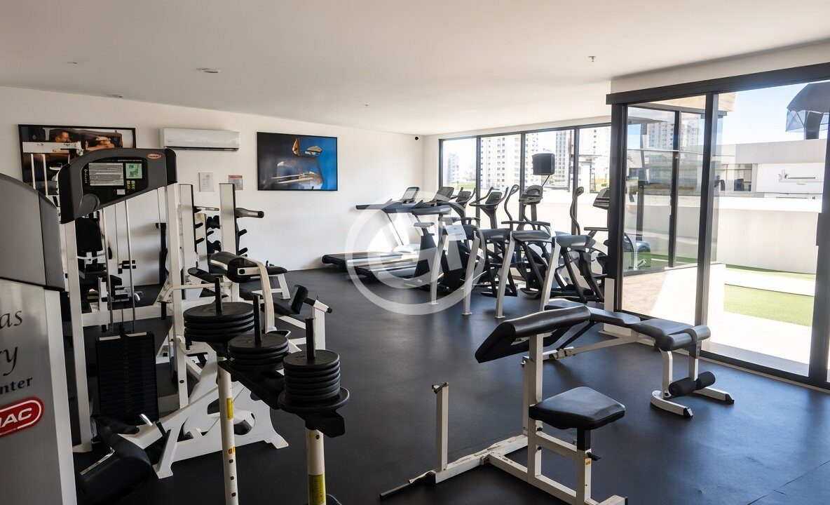 13. Gimnasio