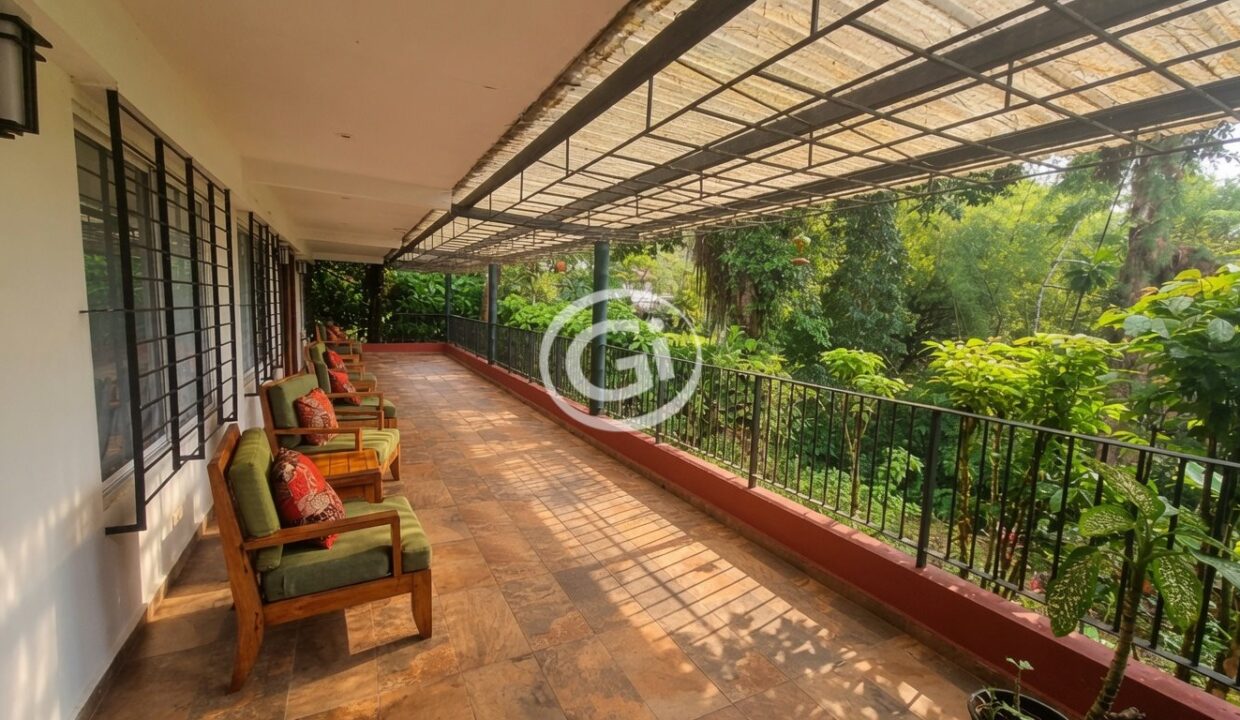 16. Terraza de Habitaciones Venta Ecolodge