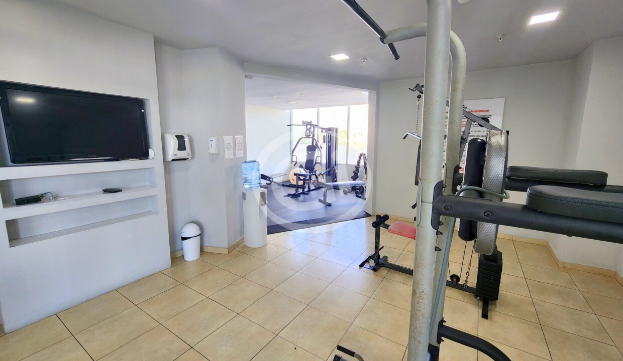 17. Gimnasio. Alquiler Sky Blue. San Francisco