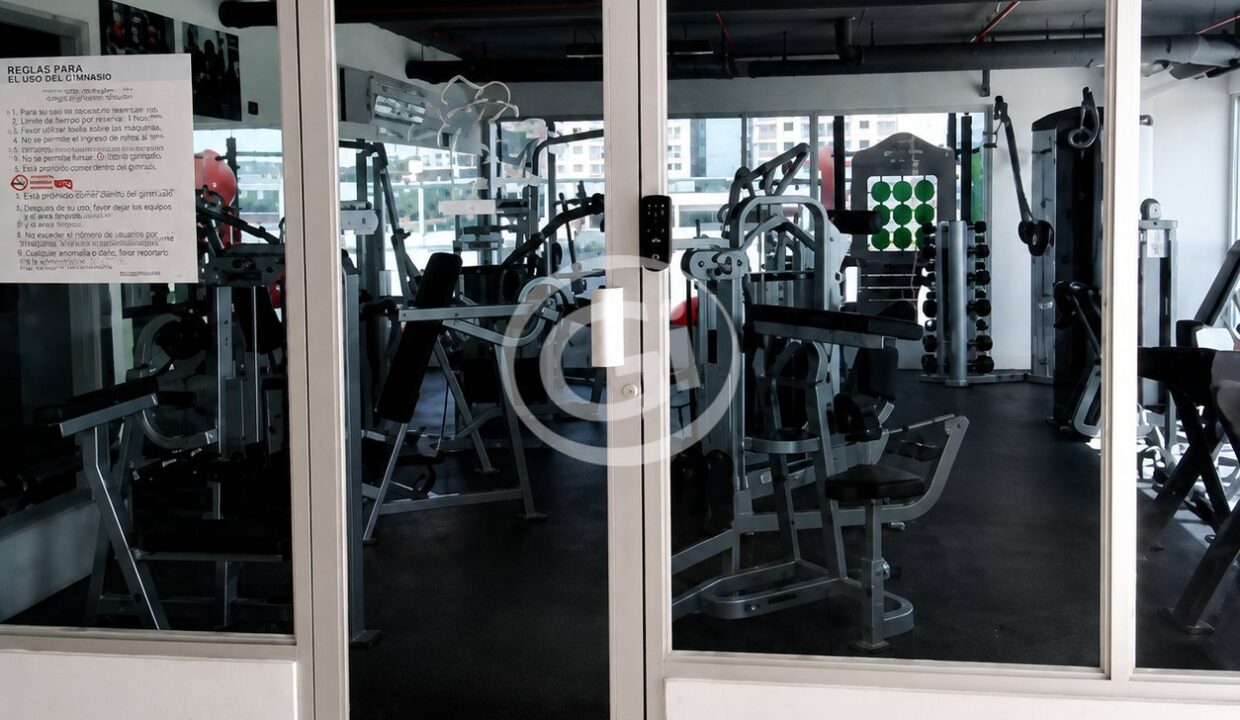 17. Gym