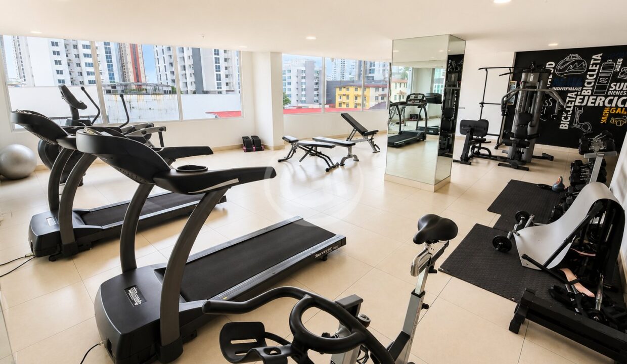 19. Gimnasio (2)