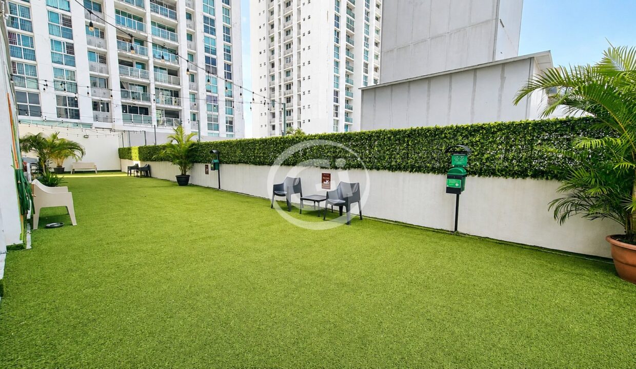 24. Pets Park