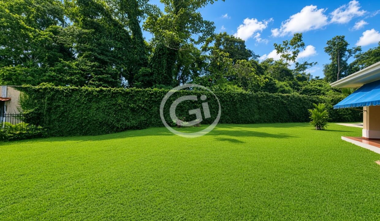 35. Jardin trasero