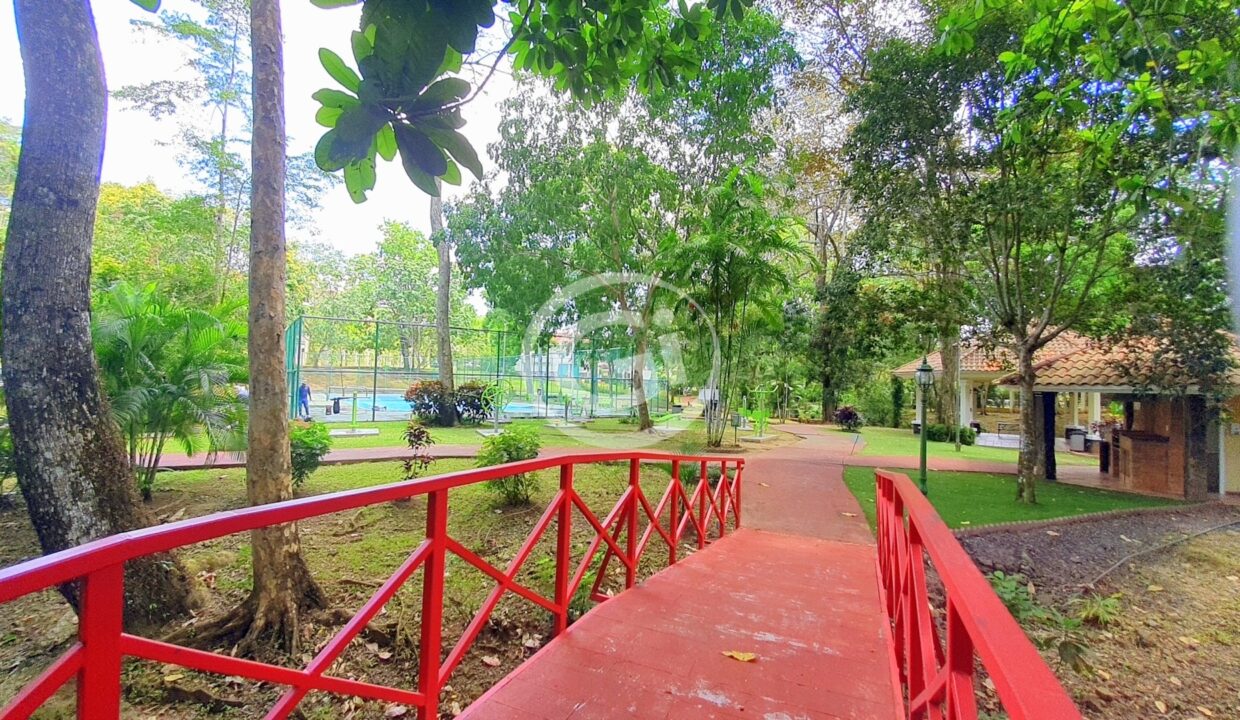 38. Area Social. Casa en Camino de Cruces. Panamá