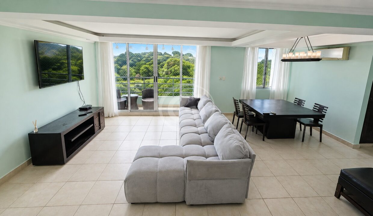 4. Sala-Comedor. Oportunidad Venta Apartamento Clayton Park