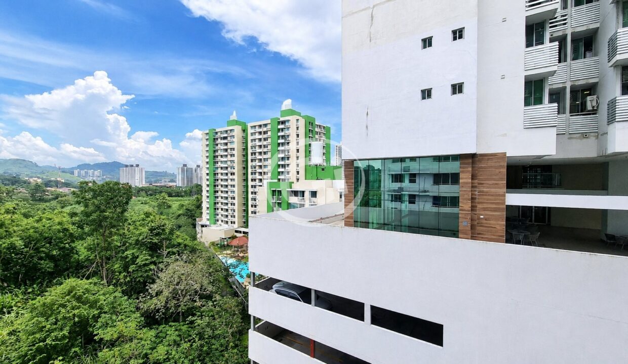 4. Vista