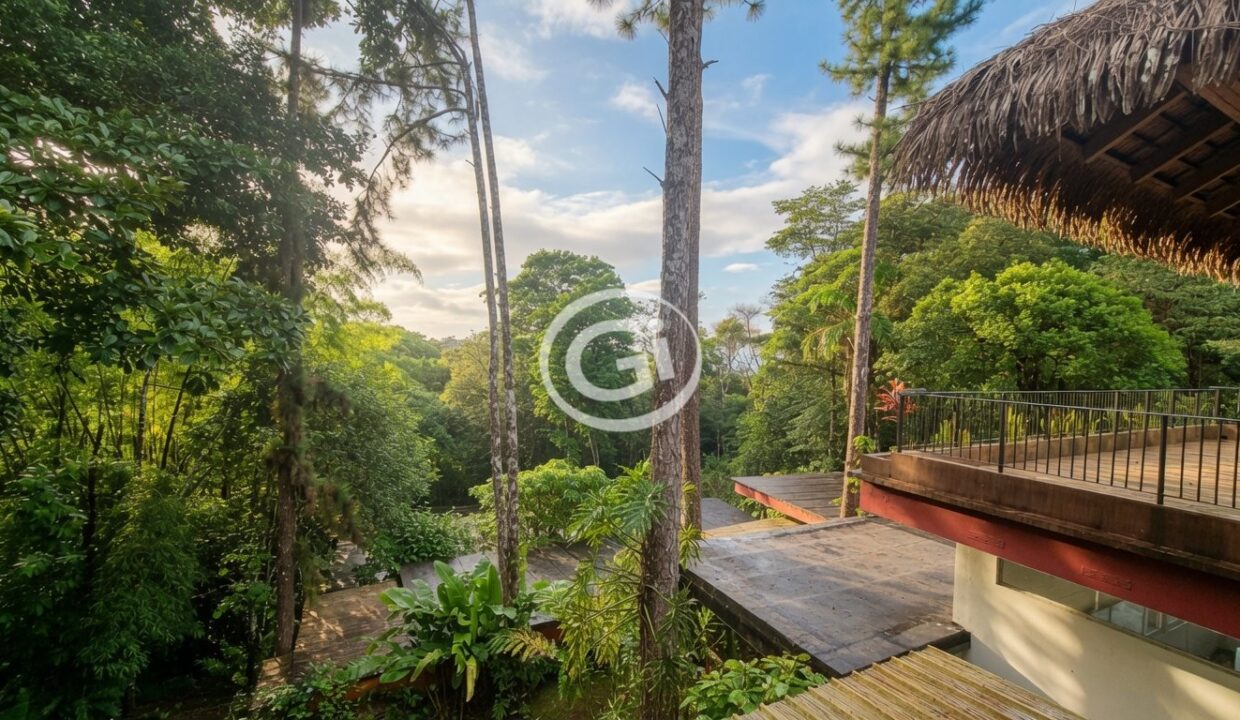 6. Vista terraza Venta Ecolodge