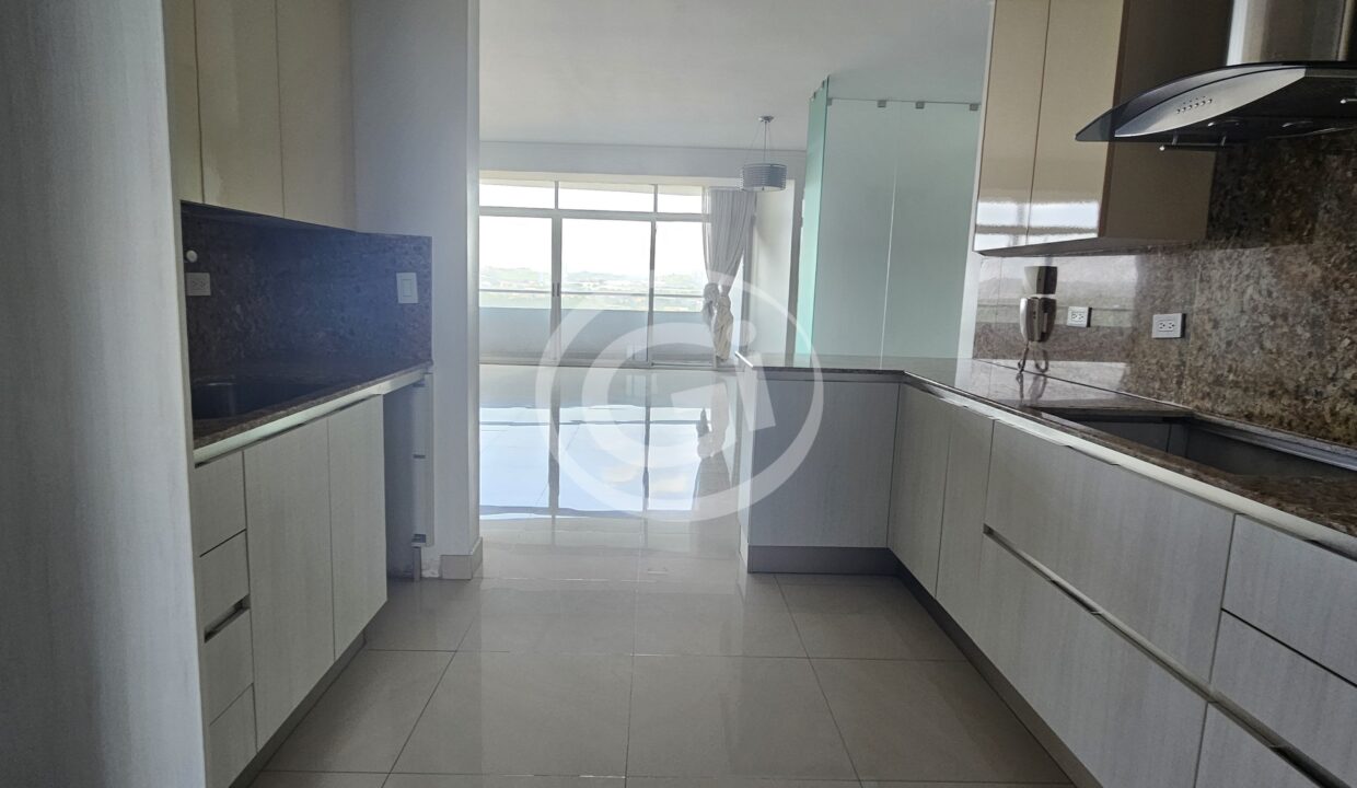 7. Cocina Elevation Tower apartamento venta Reposeído Banistmo