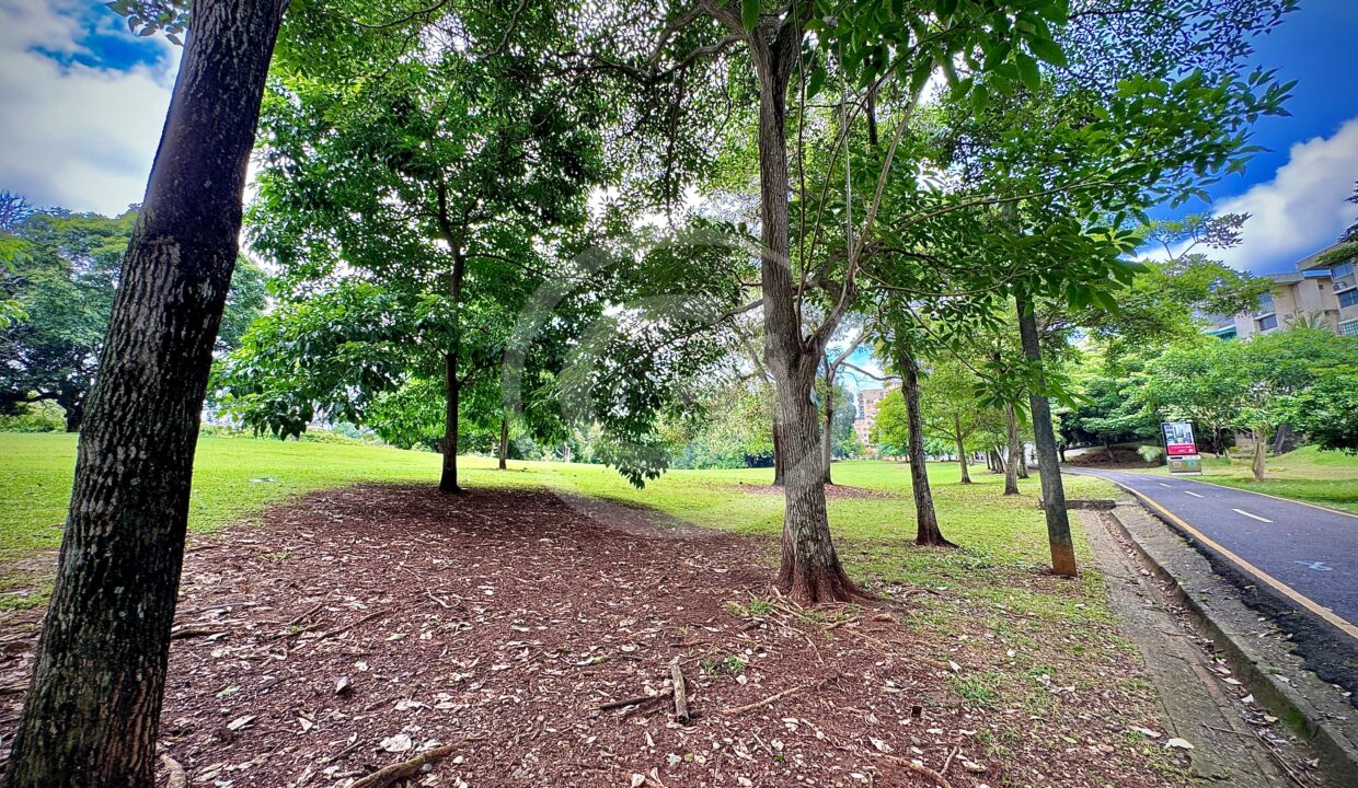 31. Parque Omar venta apartamento Park Point Carrasquilla San Francisco